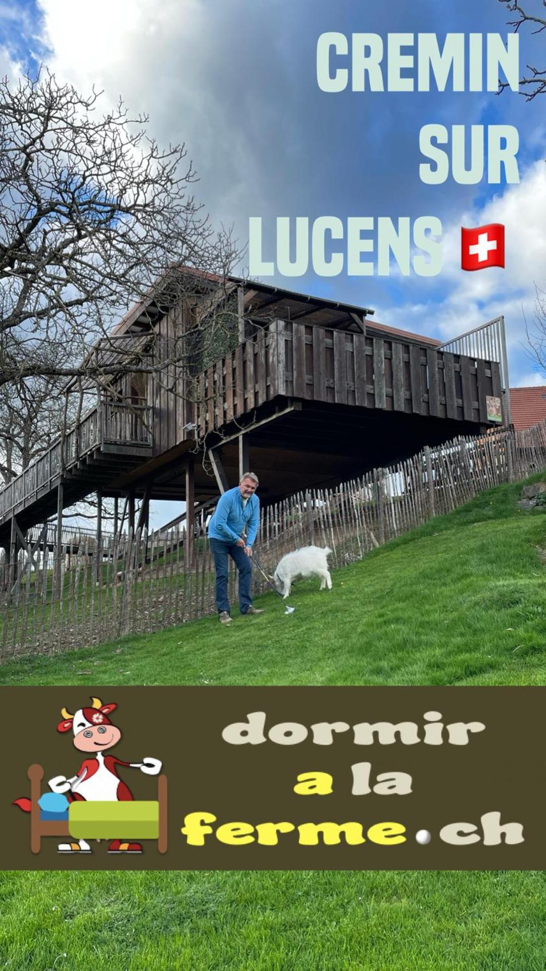 Dans Les Arbres / Swin-golf De * Cremin